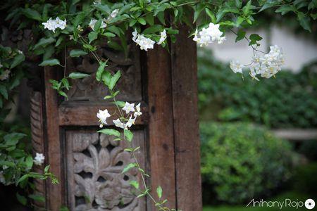 Reportage photos - De découvertes en découvertes, les journées du patrimoine de Bordeaux en photos ! IMG_8980