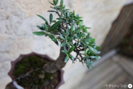 Reportage photos - De découvertes en découvertes, les journées du patrimoine de Bordeaux en photos ! IMG_8970