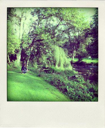 Seventies revival IMG_4714-pola