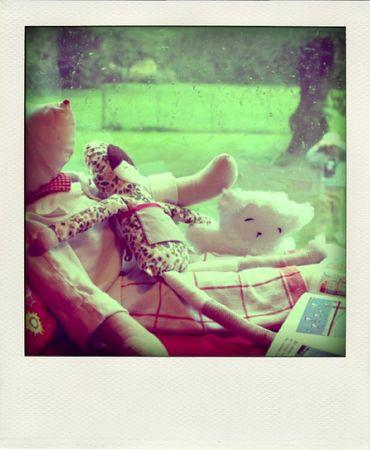 Seventies revival IMG_4689-pola