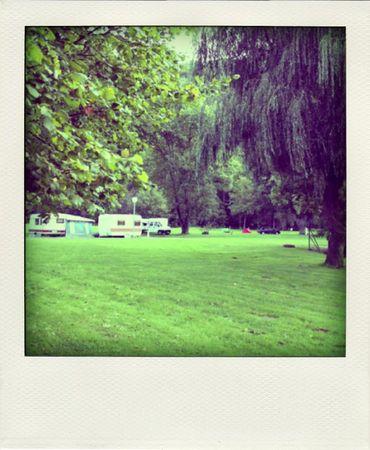 Seventies revival IMG_4702-pola