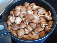 P1110592 (Medium) TARTE FINE AUX SHITAKES & AUX NOIX