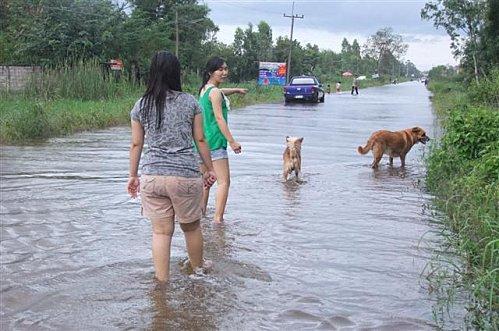 18 septembre 2011: Udonthani, innondations à Nong Sam Rong. DSCF0087 (Small)