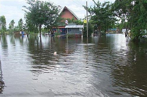 18 septembre 2011: Udonthani, innondations à Nong Sam Rong. DSCF0104 (Small)