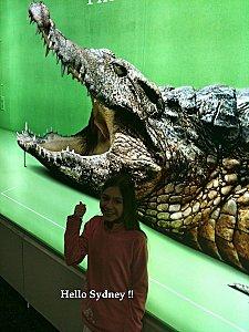 sydney crocodile