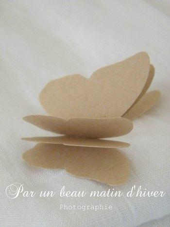 ENVOL ...
Retourner sur les bancs de l'école n'a p... DSCF7210