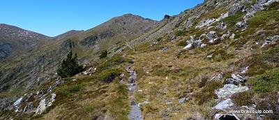 Lanos d'Or... Lanos d'Or...