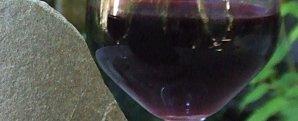 Pinot dense - 998