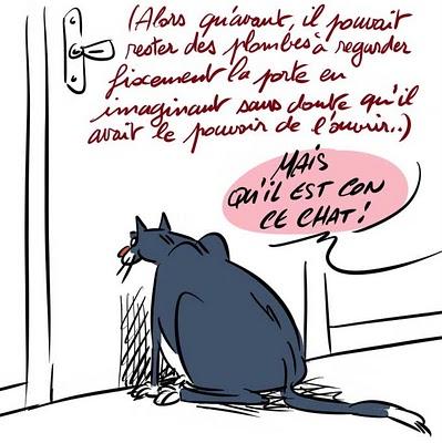 Il faut avoir des chats pour comprendre...