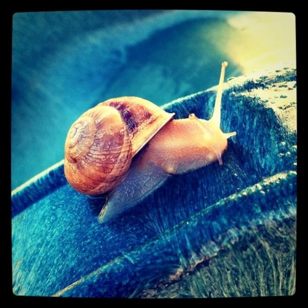 Instagram, Pic et pic et colégram, Bourre et bourre et ratatam instagram