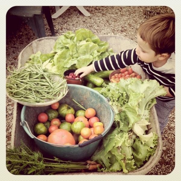 Instagram, Pic et pic et colégram, Bourre et bourre et ratatam instagram