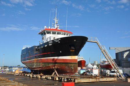 info au coup de pinceau Capall-Oir-élévateur-09-2011