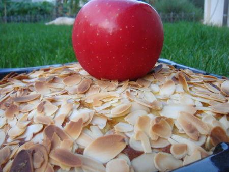 CLAFOUTIS AUX POMMES ET AUX AMANDES DSC09498