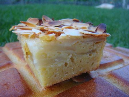 CLAFOUTIS AUX POMMES ET AUX AMANDES DSC09504