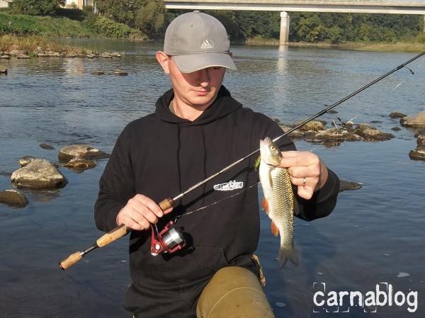 Quelques chevesnes et perches en Loire (25/09/2011) 25-09-2011(3)