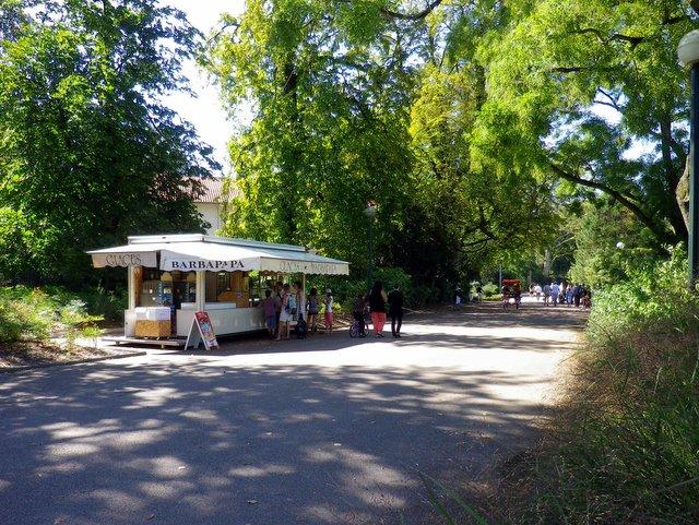 Les meilleures glaces de Lyon ?