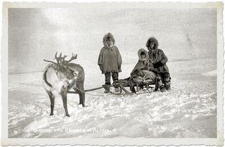 Traveling-reindeer