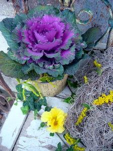 Des dimanches bien remplis ... P1050020_1