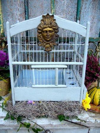 Des dimanches bien remplis ... P1050048