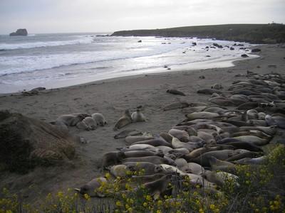 Californie - Day 5 & 6 Californie - Day 5 & 6