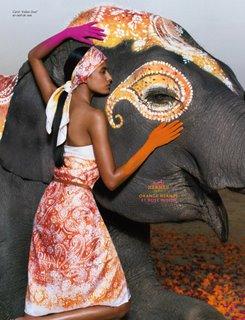 L’Inde envoûtante suscite les convoitises…