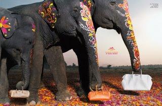 L’Inde envoûtante suscite les convoitises…