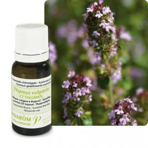 thym thujanol hect La Marjolaine à Thujanol, une alternative incontournable pour le Thym à Thujanol !