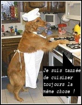 ALORS BLOGUEURS ET AMIS DES BLOGUEURS DE HAUTETFORT.COM ? image