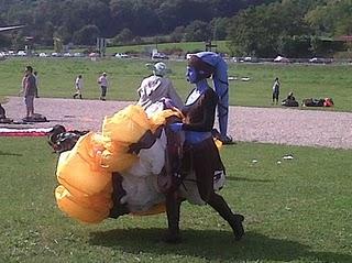 coupe icare coupe icare