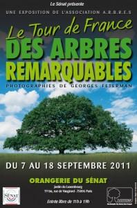 senat Aimez-vous les arbres ?