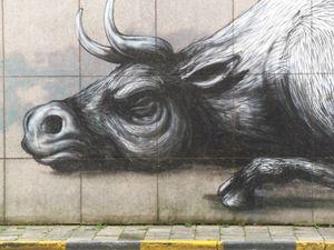 Murs peints à Gent (Gand) 100_5376