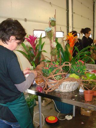 CED Interflora Motbihan Emilie en plein travail CED Interflora Motbihan Emilie en plein travail