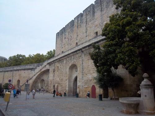 Aigues-mortes le week-end dernier 100_1892.JPG