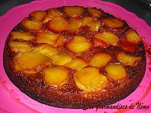 Vos recettes préférées du mois de septembre gto renversé (2)