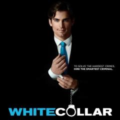 J'ai vu... White Collar (FBI duo très spécial) saisons 1 et 2 white collar, fbi duo très spécial, neal, caffrey, peter, burke, série, télé