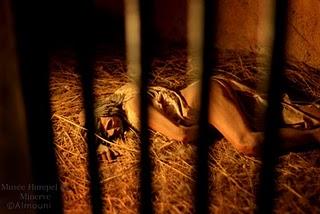 Résilience. Résilience.