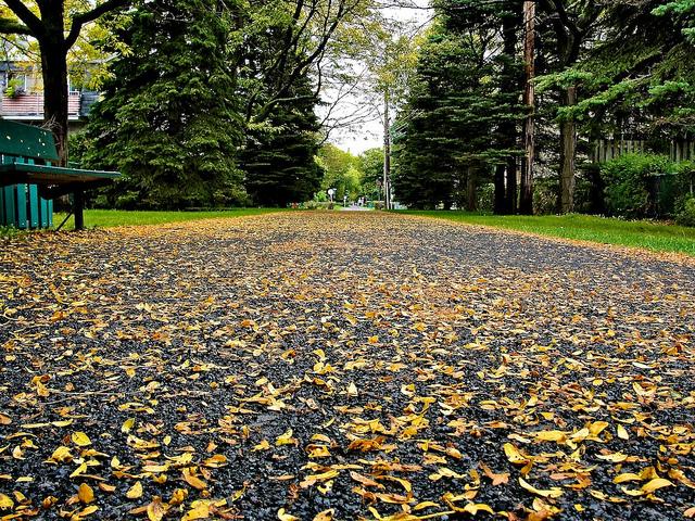 Projet 52 - Semaine 39 DSC03530