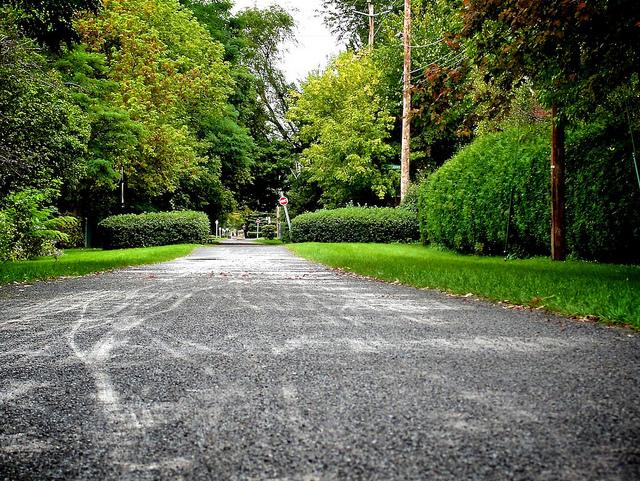 Projet 52 - Semaine 39 DSC03528