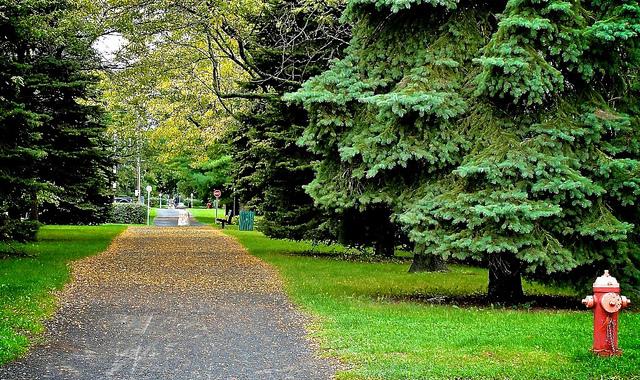 Projet 52 - Semaine 39 DSC03551