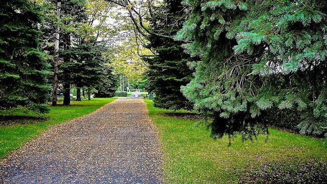 Projet 52 - Semaine 39 DSC03583