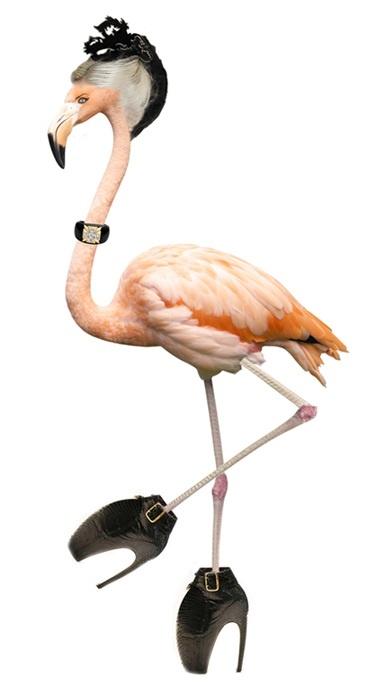 fashimals4 fashimals4