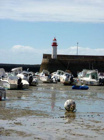 LES POULETTES A ERQUY (22) Erquy56