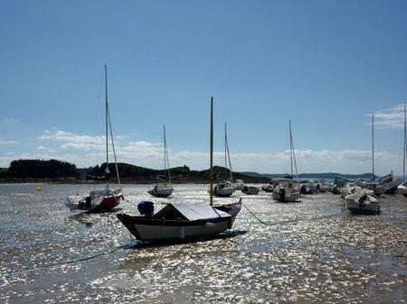 LES POULETTES A ERQUY (22) Erquy61