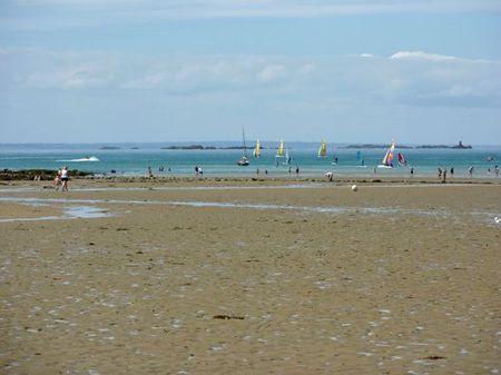 LES POULETTES A ERQUY (22) Erquy20