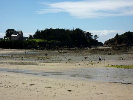 LES POULETTES A ERQUY (22) Erquy17