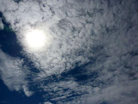 LES POULETTES A ERQUY (22) Erquy82