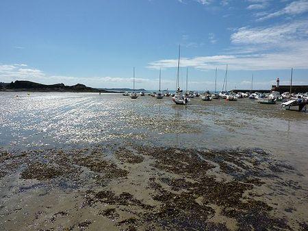 LES POULETTES A ERQUY (22) Erquy54