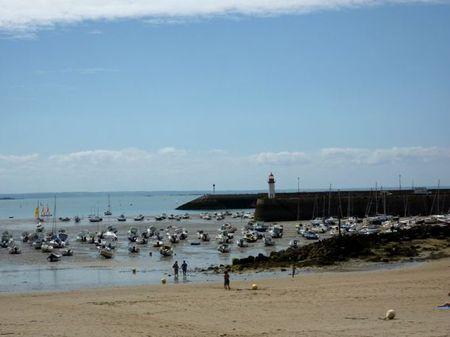 LES POULETTES A ERQUY (22) Erquy78