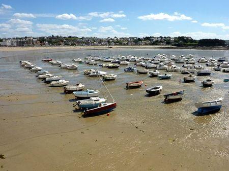 LES POULETTES A ERQUY (22) Erquy72