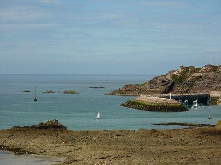 LES POULETTES A ERQUY (22) Erquy12